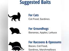 Havahart 1079SR Large 1-Door Humane Catch and Release Live Animal Trap for Raccoons, Cats, Bobcats, Beavers, Small Dogs, Groundhogs, Opossums, Foxes, Armadillos, and Similar-Sized Animals 66.99