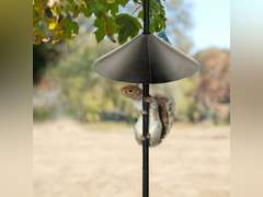 Woodlink NABAF18 Audubon Wrap Around Squirrel Baffle, 18-Inch - Black 18 Inch Black 22.99