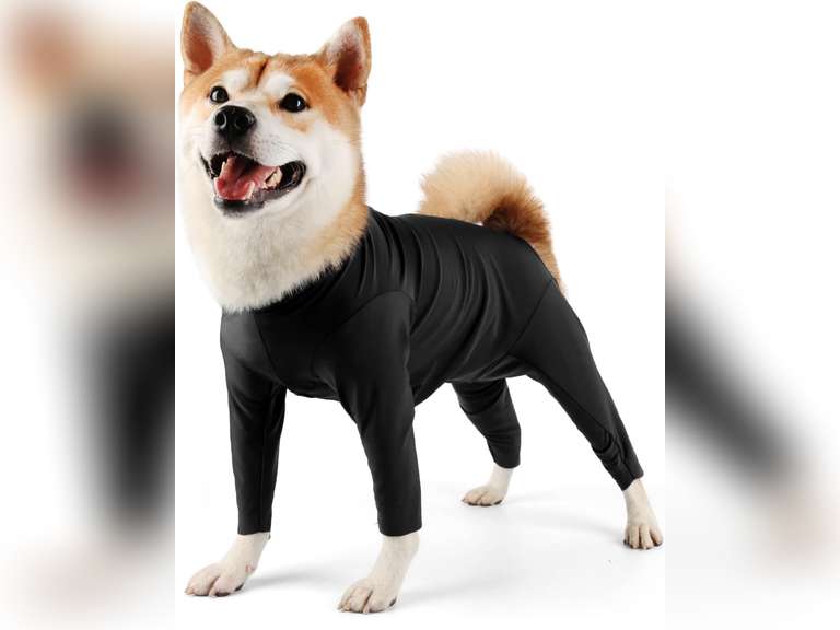 Dog Onesie Shedding Suit Full Coverage Pet Surgical Recovery Bodysuit After Surgery Wear Cone