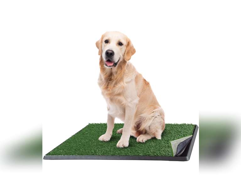 Artificial Grass Puppy Pee Pad for Dogs and Small Pets - 20x30 Reusable 4-Layer Training Potty Pad with Tray - Dog Housebreaking Supplies by PETMAKER 35.77