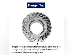 M8 x 1.25mm Serrated Flange Hex Lock Nuts 100Pcs 304 Stainless Steel 18-8, Full Thread, Hex Drive, Bright Finish by SG TZH M8 Silver 100 19