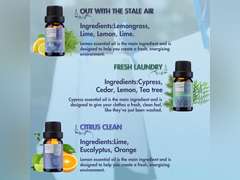 Essential Oils for Laundry - 100% Pure Essential Oils for Diffusers for Home,6x10ml(Clean)- Aromatherapy Oils for Humidifiers,Wool Dryer Balls,Clean Linen CLEAN 0.34 Fl Oz (Pack of 6) 17