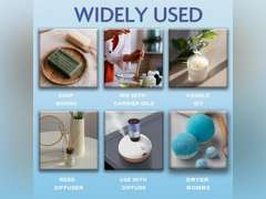 Essential Oils for Laundry - 100% Pure Essential Oils for Diffusers for Home,6x10ml(Clean)- Aromatherapy Oils for Humidifiers,Wool Dryer Balls,Clean Linen CLEAN 0.34 Fl Oz (Pack of 6) 17