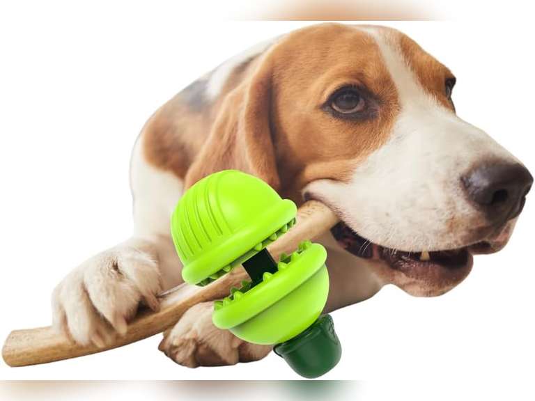 Bully Chew Stick Holder for all Breeds, Durable Dishwasher Safe with Treat Dispensing and Wet Treat Slot for Extended Play Time & Gum Care (Green) 33