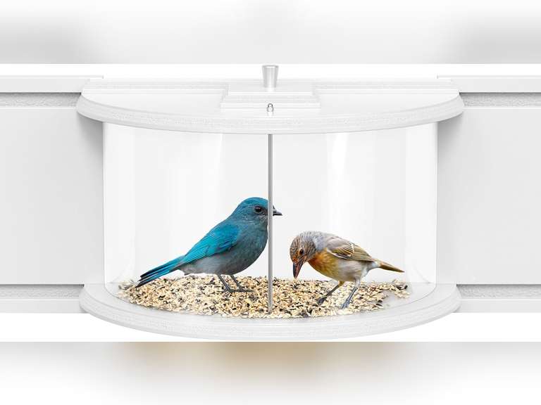 Window Bird Feeder, Inside/Outside, Clear Viewing Window, Window Sill Bird Feeder Makes a Great Gift for Children and Everyone. 180 Degree Clear Window for Inside Viewing. 40