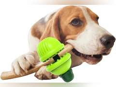 Bully Chew Stick Holder for all Breeds, Durable Dishwasher Safe with Treat Dispensing and Wet Treat Slot for Extended Play Time & Gum Care (Green) 33