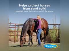 Farnam Sand Clear for Horses Natural Psyllium Crumbles, Veterinarian recommended to support the removal of sand & dirt from the ventral colon, 10 lbs., 32 scoops 80