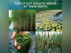 Pond & Lake Weed Cutter, Adjustable 41" Cut Width, 30 Foot Thicker Rope, 3 Adjustable Cutting Angles, Large Pond Aquatic Plant Cutting Tool Easily Shear Cattail, Reed, Lilly & Chara Algae 120