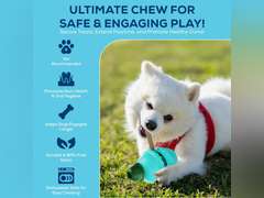 Bully Chew Stick Holder for all Breeds, Durable Dishwasher Safe with Treat Dispensing and Wet Treat Slot for Extended Play Time & Gum Care (Green) 33
