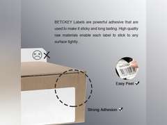 BETCKEY - 2.625" x 1" (67 mm x 25 mm) File Folder & Address Labels Compatible with Zebra & Rollo Label Printer,Premium Adhesive & Perforated 10 Rolls, 20000 Labels 54