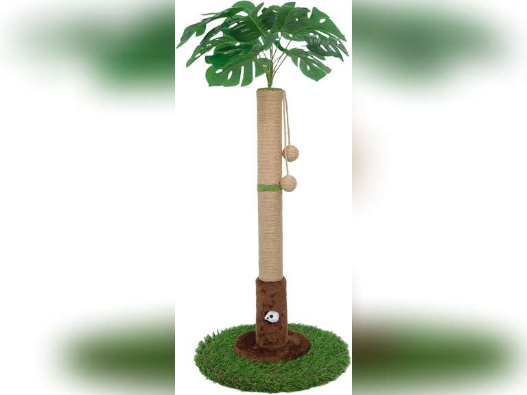 Cat Scratching Post for Indoor Cats and Kitten - 35.43" Tall Cat Scratching Post with Sisal Rope,Palm Tree Cat Scratch Post with Hanging Ball 29