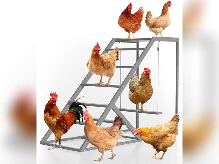 Chicken Perch for Coop with Ladder, Chicken Roosting Bars for Chickens in Coop with Swing Set Wooden Run Accessories Toy Chick Roost Activity Playground for Backyard Farm, Grey 49