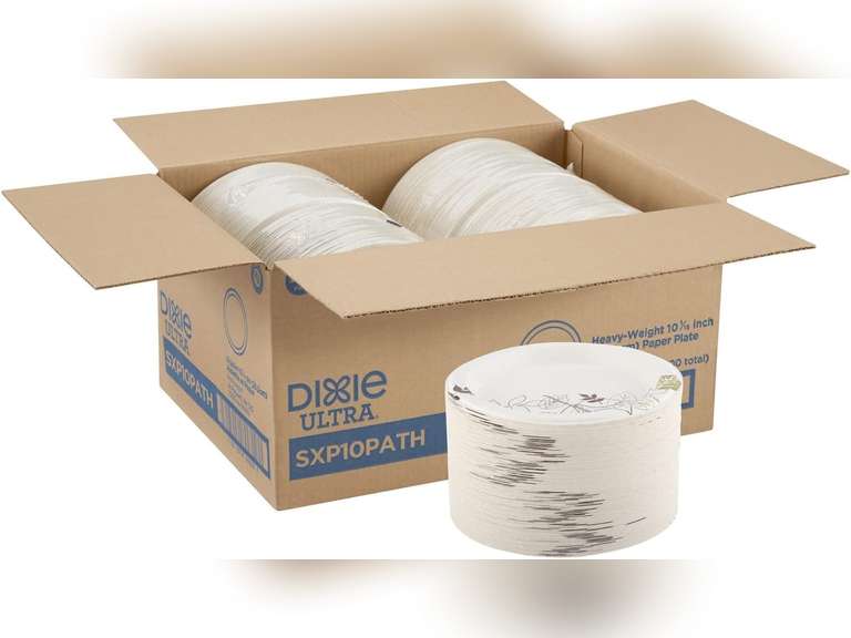 Dixie SXP10PATHCT Plates, Extra Heavy Weight, 10-Inch, 500/CT, Pathways/White 120