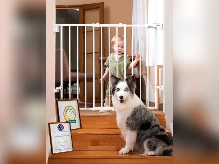 Babelio Baby Gate for Stairs, Kitchen & Doorways, 26-43" W 28" H No Bottom Bar| Easy Installation| One-Handed Operation| Auto-Close| Hardware Mount (Drill Needed) Safety Dog/Pet Gate Indoor (White) 60