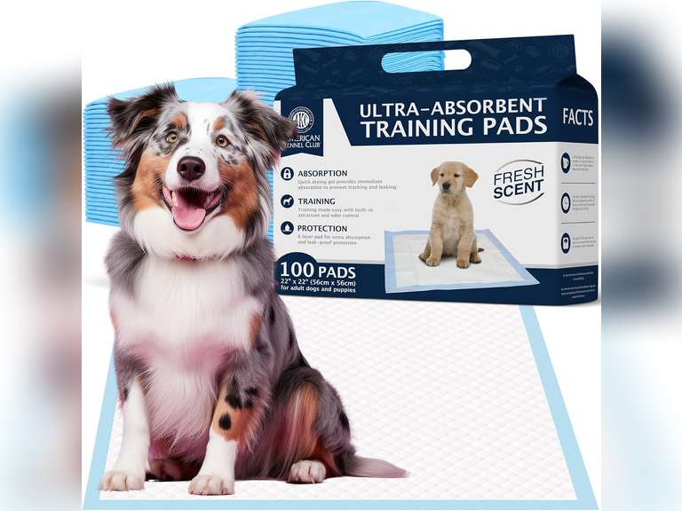 American Kennel Club Scented Puppy Training Pads with Ultra Absorbent Quick Dry Gel 22 x 22 Pee Pads for Dogs - Fresh Scented - Pack of 100 23