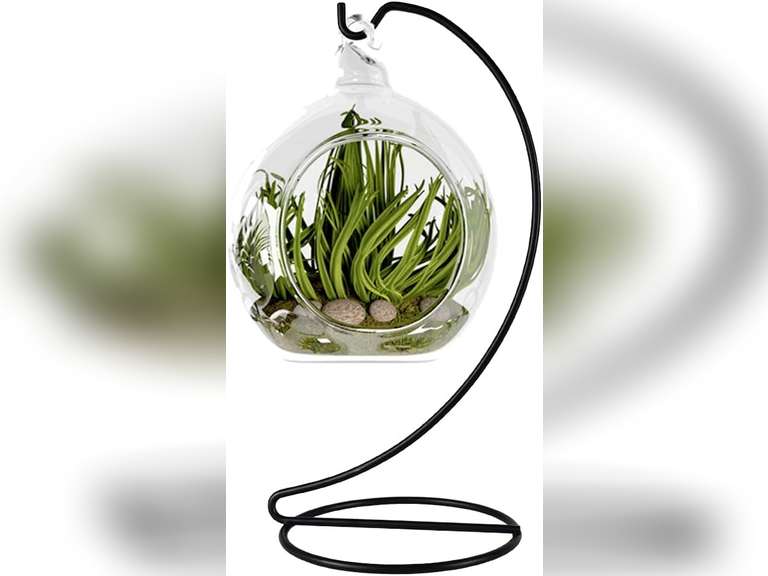 CXLE Ornament Display Stand, Ornament Stand Holder Iron Pothook Stand for Hanging Glass Globe Air Plant Terrarium, Witch Ball, Christmas Ornament and Home Wedding Decoration (1, 9x4" Black) 24 Pack 150