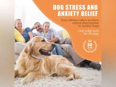 Dog Calming Collar, Dog Pheromones Calming Diffuser Calming Collar for Dogs Adjustable Size Dog Anxiety Relief Up to 30 Days (6) 16