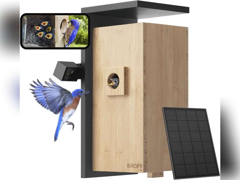 Birdfy Smart Bird House with Camera, Dual-Cam 1080P Bird Nest, Solar ...
