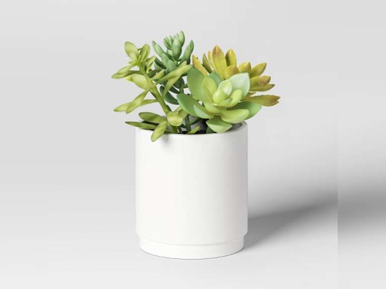 Artificial Succulents Plant in Pot - Threshold : Faux Floral Decor, Ceramic Base, Indoor Tabletop Display 15
