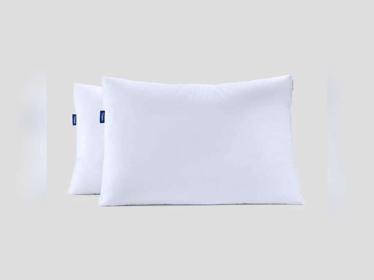 Birds Down Standard Pillow (Set of 2) 234