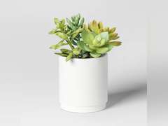 Artificial Succulents Plant in Pot - Threshold : Faux Floral Decor, Ceramic Base, Indoor Tabletop Display 15
