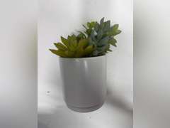 Artificial Succulents Plant in Pot - Threshold : Faux Floral Decor, Ceramic Base, Indoor Tabletop Display 15