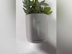 Artificial Succulents Plant in Pot - Threshold : Faux Floral Decor, Ceramic Base, Indoor Tabletop Display 15