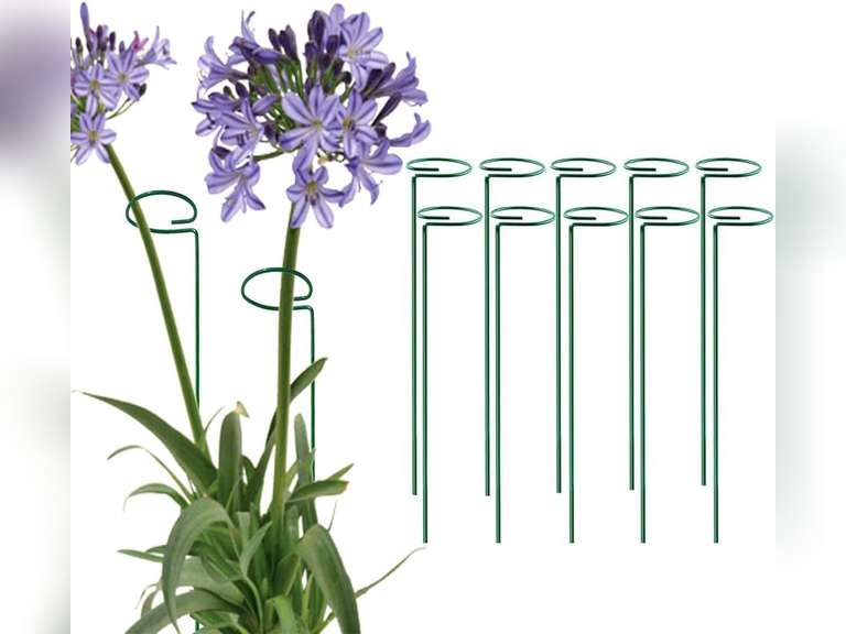MTB SUPPLY Green 36 inch Single Stem Plant Stakes Flower Support Rings ...