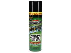(2 pcs)Spectracide 18.5-oz Wasp and Hornet Insect Killer Aerosol 9