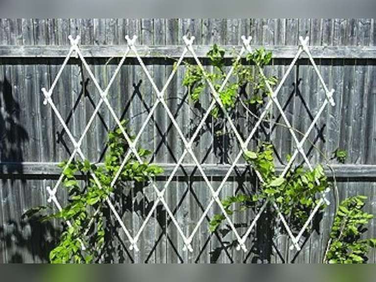 Achla Designs Lattice Trellis, Wall Mounted, Black 50