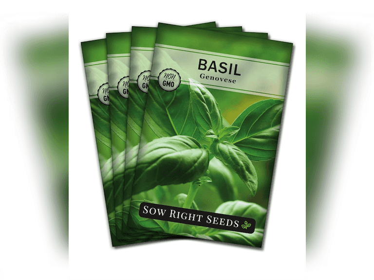 Sow Right Seeds - Ocimum Basilicum Sweet Basil Seed for Planting - Non ...