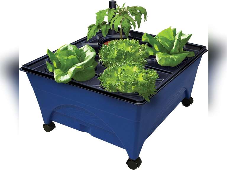 Emsco Group 2370 Hydropickers Compact 24 x 20 Footprint Mobility Provided by Casters Non-Electric Hydroponics Grow Box, Cobalt Blue (color black) 88