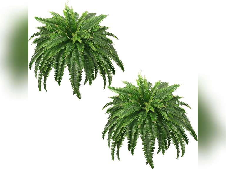 45" Fake Ferns, Realistic Large Artificial Bush Plants, 2 Artificial Boston Ferns with 59 Fronds for Outdoors Planter Indoor Home Garden Porch Decor 44