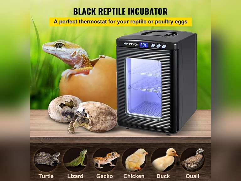Happybuy Automatic Incubator with Constant Temperature Best for Reptiles or Amphibians Silver 224