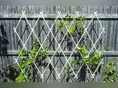 Achla Designs Lattice Trellis, Wall Mounted, Black 50