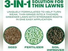 Scotts Turf Builder Thick'R Lawn Sun and Shade, Combination Seed, Fertilizer and Soil Improver, Thickens Thin Grass, 40 lbs. 58