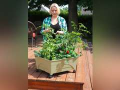 Emsco Group City Pickers 24.5 in. X 20.5 in. Patio Raised Garden Bed Grow Box Kit with Watering System and Casters in Sandstone 80