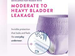 First Quality 51713101 Lavender Prevail Daily Underwear - Pack of 3 (42 count) XXL 49