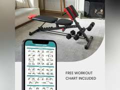 Finer Form Multi-Functional FID Weight Bench for Full All-in-One Body Workout Hyper Back Extension, Roman Chair, Adjustable Ab Sit up Bench, Incline Decline Bench, Flat Bench 240