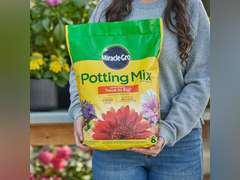 Miracle-Gro Potting Mix 8 QT MGRO POTTING MIX, 1-Pack 32