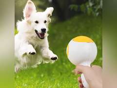 Pet Treat Snack Dispenser Toy, Pet Treat Launcher, Interactive Dog Food Catapult, Handheld Pet Feeding Interactive Toys for Dog Cat Exercise Training and Home Indoor & Outdoor Play (Yellow) 13