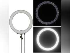 Neewer 18-Inch Ring Light, 55W Dimmable 5500K Light with 240 LEDs Color Filter, Soft Tube and Carrying Bag for YouTube, TikTok, Selfies and Photography, Compatible with Camera and Smartphones 82