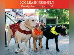 SPOT THE DOG! Reflective Bandana Bib Safety Apparel for All Dogs - Easy Fastening Closure, High Visibility Fluorescent Orange M-L 20