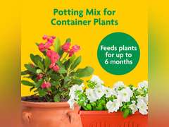 Miracle-Gro Potting Mix 8 QT MGRO POTTING MIX, 1-Pack 32