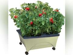 Emsco Group City Pickers 24.5 in. X 20.5 in. Patio Raised Garden Bed Grow Box Kit with Watering System and Casters in Sandstone 80