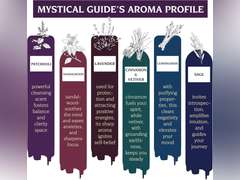 Varonite Mystical Guide Incense Sticks Variety Pack of 6 (120 Insence-sticks) with Holder: Patchouli, Lavender, Sandalwood, Cinnamon, Lemongrass, Sage Inscents-sticks, Organic Incense Sticks Non toxic 30