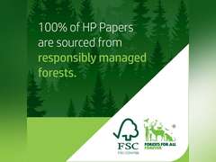 HP Copy & Print20, 20lb, 8.5 x 11, 1 Ream (500 Sheets) 13