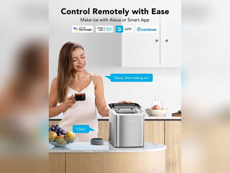GoveeLife Smart Countertop Ice Makers, Portable Ice Maker Machine with Self-Cleaning, 6 Mins 9 Bullet Ice, 26lbs/24Hrs, Voice Remote for Home Kitchen Party Camping, with Ice Scoop Stainless Silver 160