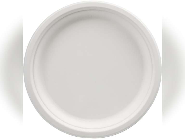 Amazon Basics Compostable Plates, 10-inch, 500-count 70
