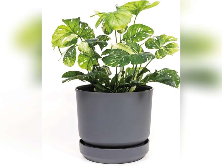 Elly D cor 8 inch Plastic Cylinder Planter Pot with Self-Watering Saucer and Drainage Hole,Lightweight & Extremely Durable, 8"x 8", Gray 27